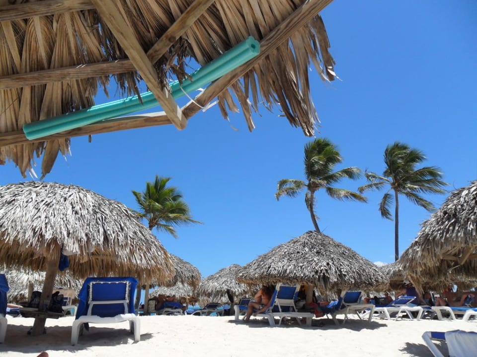 Aussicht von der Liege aus Punta Cana Princess All Suites Resort & Spa