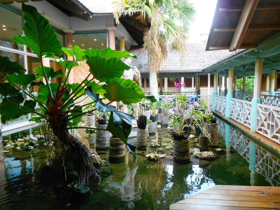 Grünfläche vor dem Restaurant  Iberostar Selection Bavaro Suites