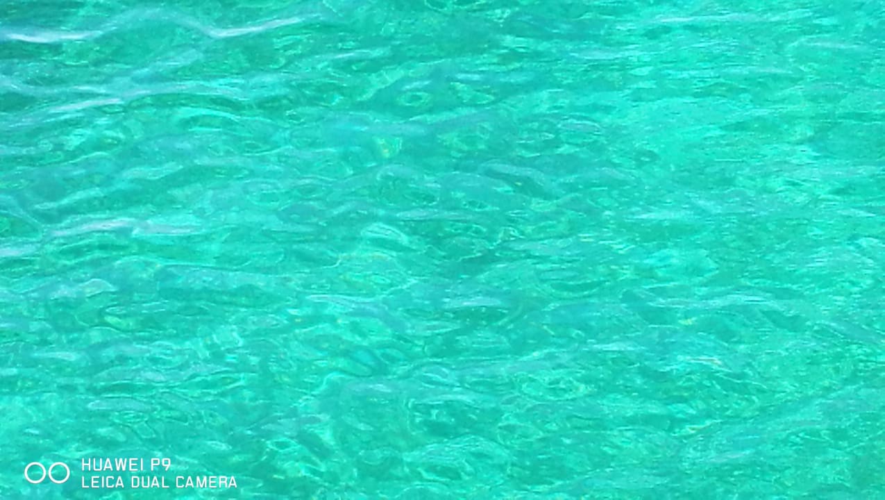 26 Grad super Hotel Mariant Park