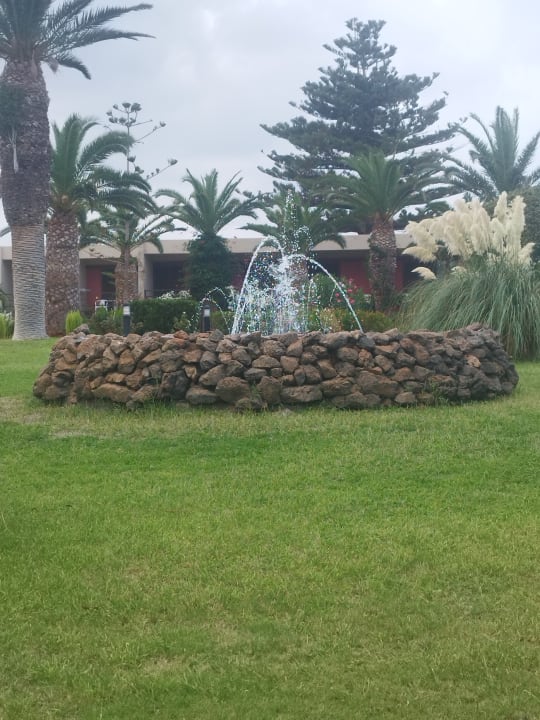 Gartenanlage allsun Hotel Malia Beach