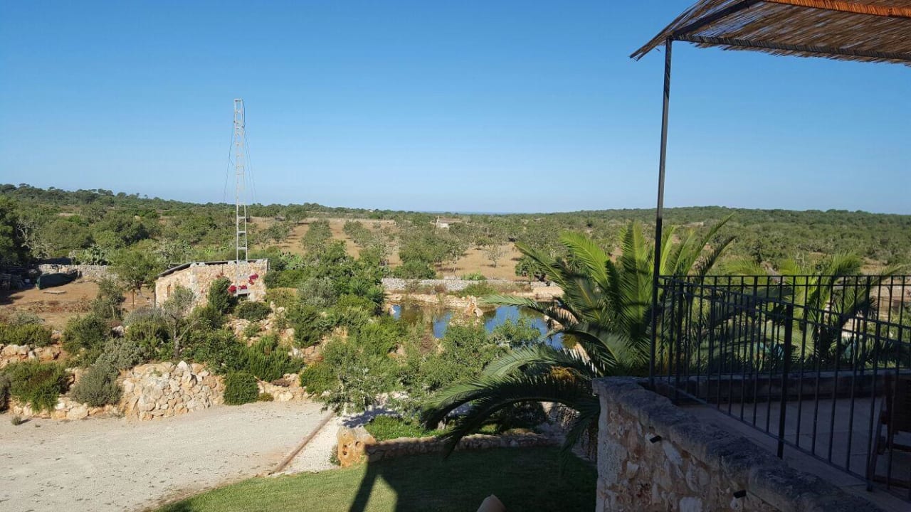 Traumurlaub Finca Es Pinaretta