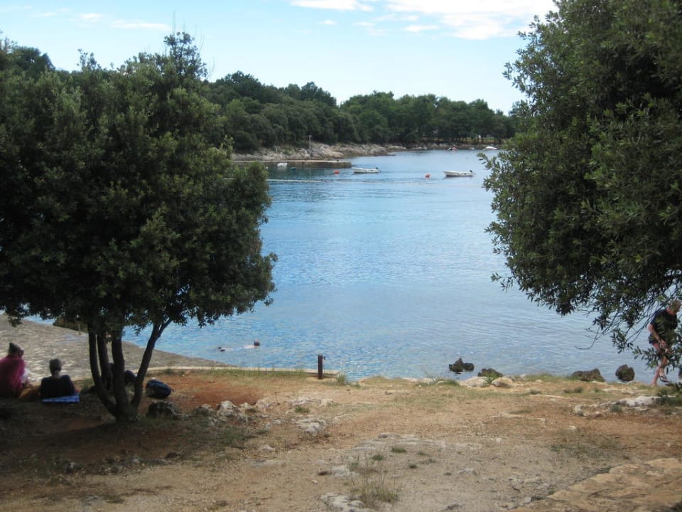 Blick vom Strandkaffee auf das Meer Maistra Select Funtana All Inclusive Resort