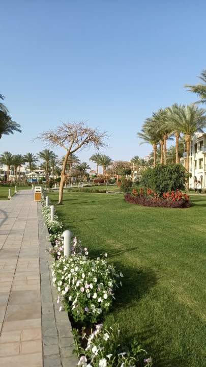 Gartenanlage Pickalbatros Dana Beach Resort - Hurghada