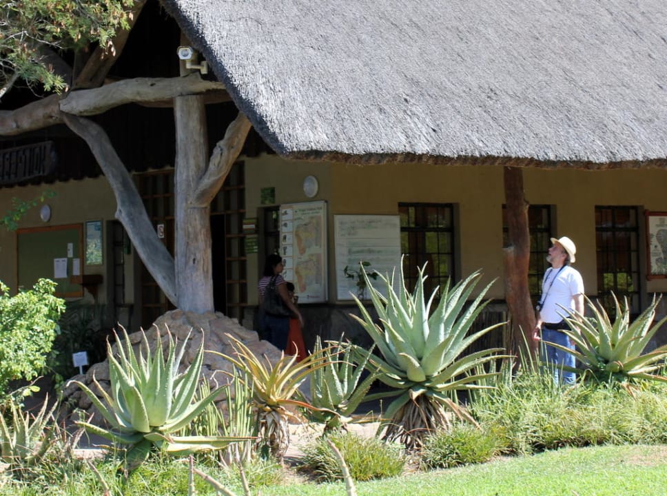 Rezeption Hotel Restcamp Skukuza