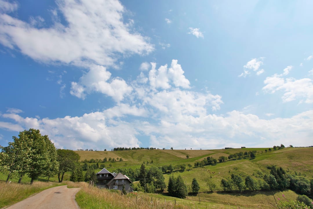Ausblick Zähringer Hof