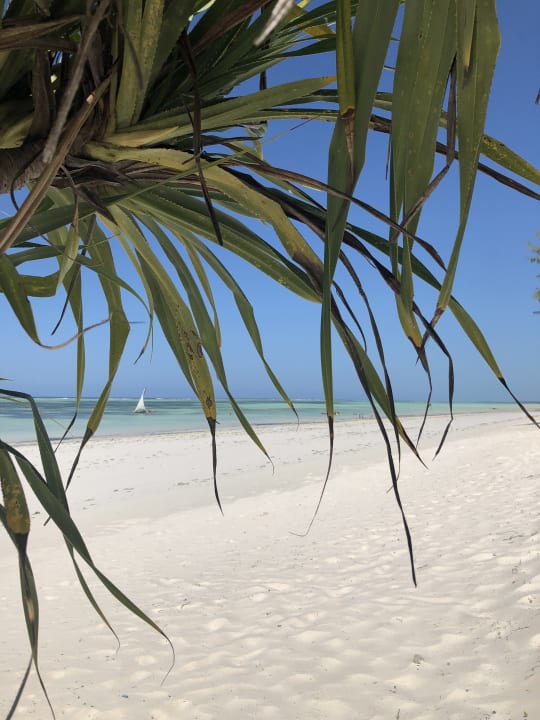 Strand Ocean Paradise Resort & Spa