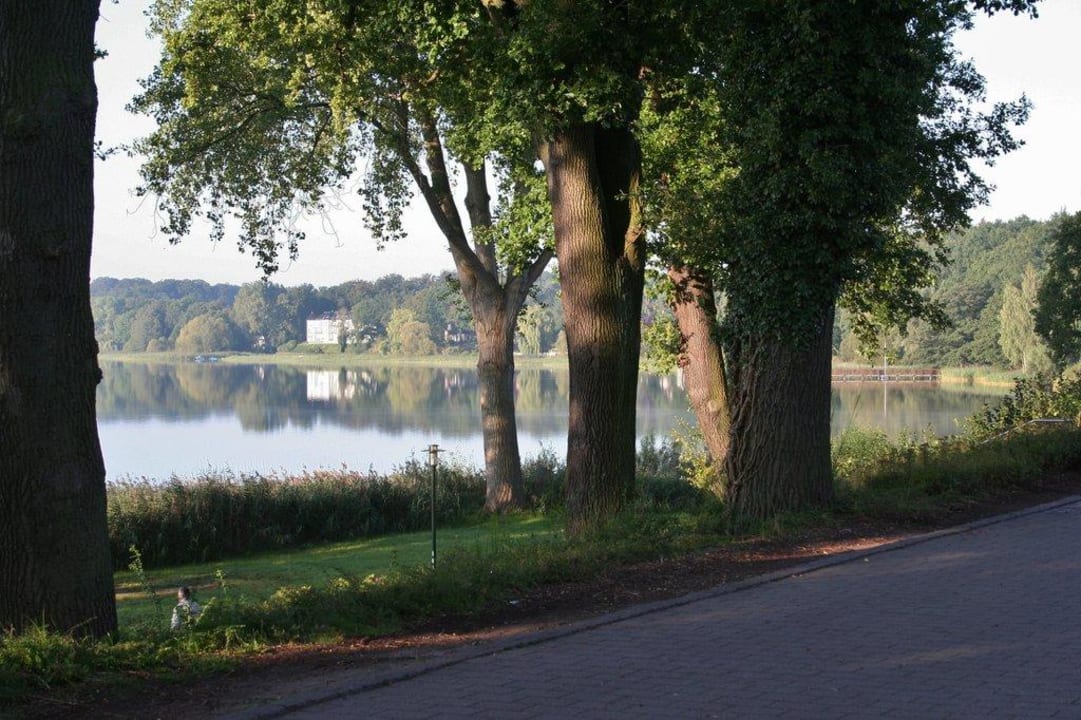 Morgenstimmung am Plauer See vor dem Hoteleingang Falk Seehotel Plau am See