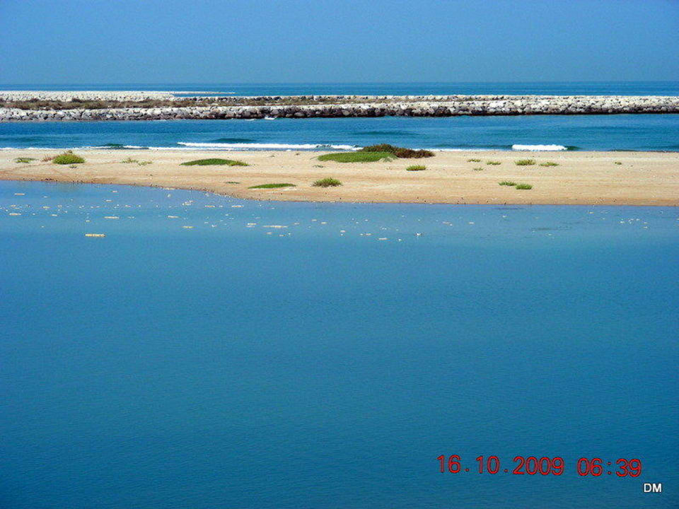 Strand The Cove Rotana Resort