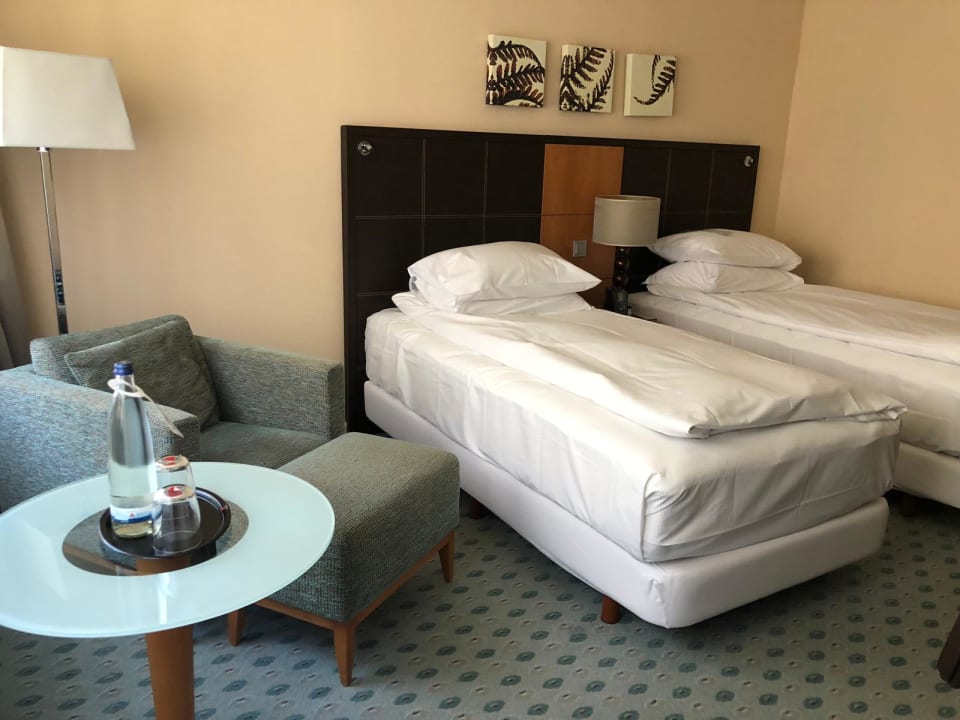 Zimmer Hilton Dresden