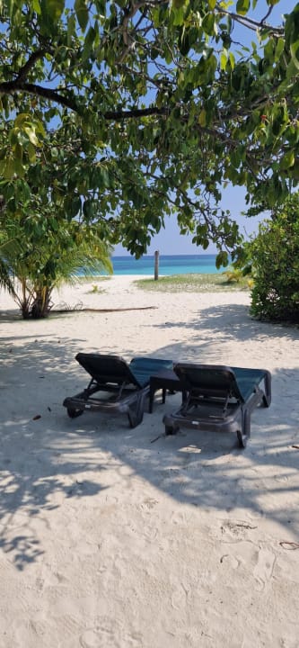 Außenansicht Kuredu Island Resort & Spa