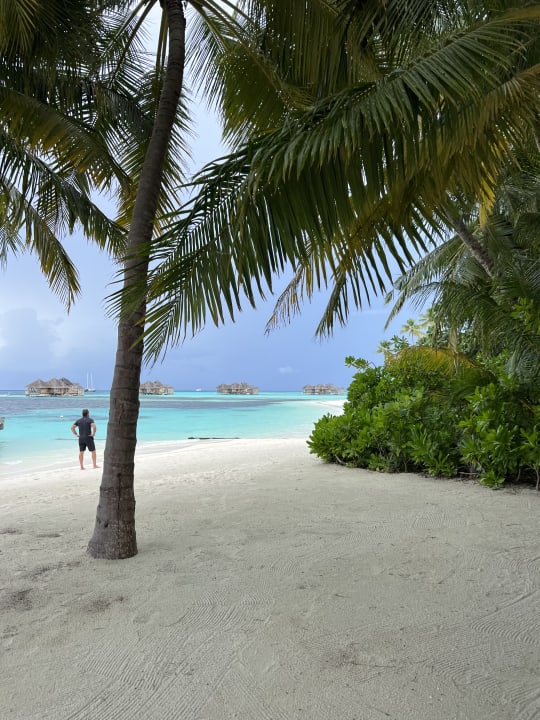 Ausblick Gili Lankanfushi Resort