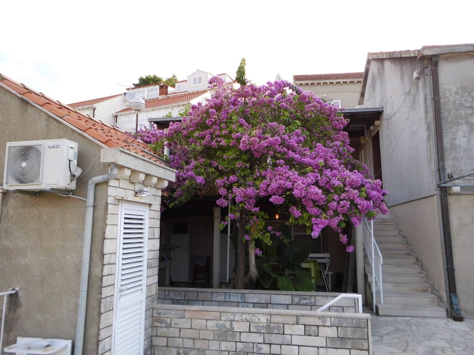 Auf Terrasse Villa Astra