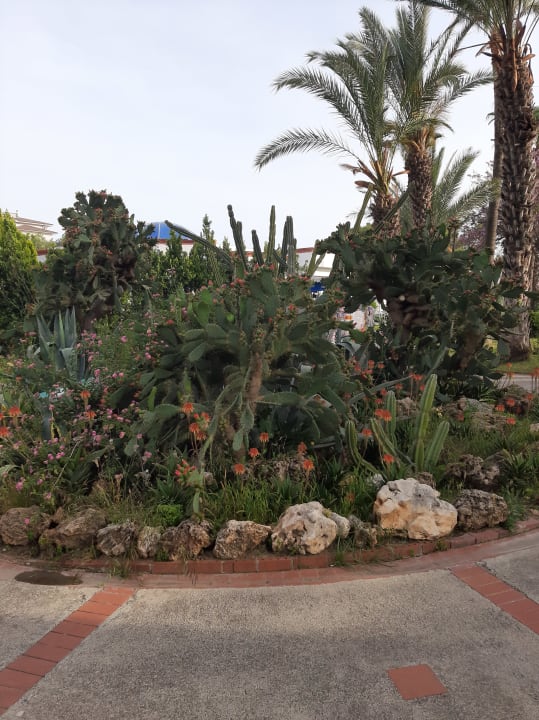 Außenansicht Asteria Family Resort Side