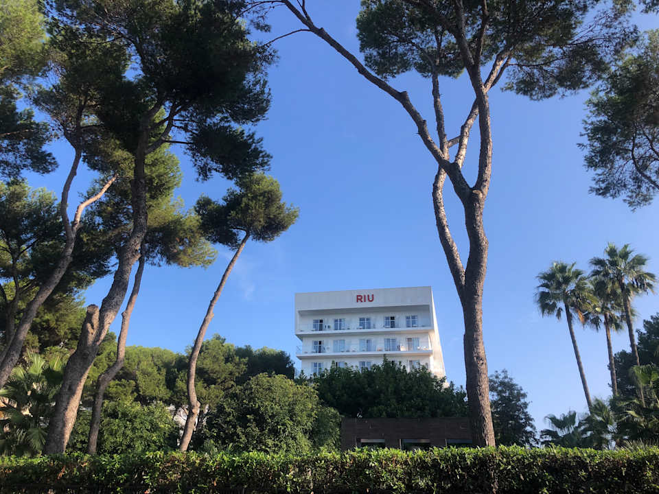 Außenansicht Hotel Riu Festival
