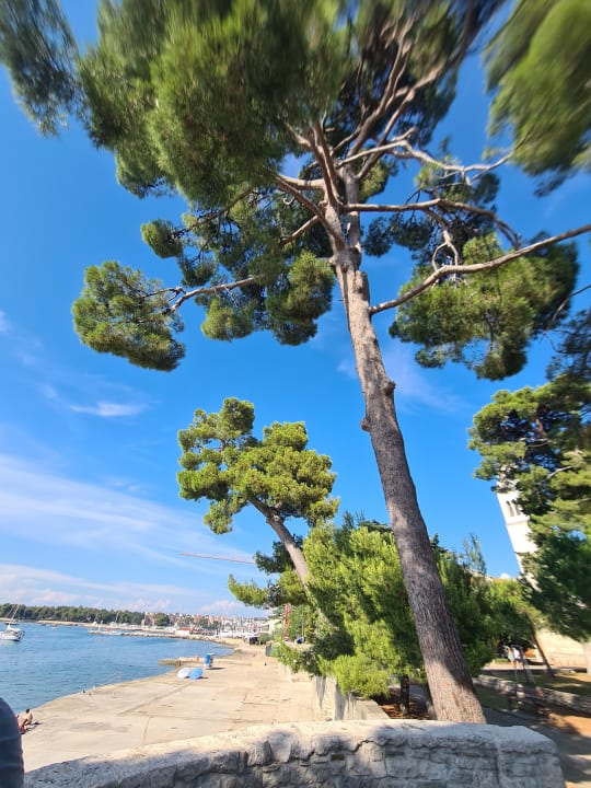 Strand Valamar Parentino Hotel