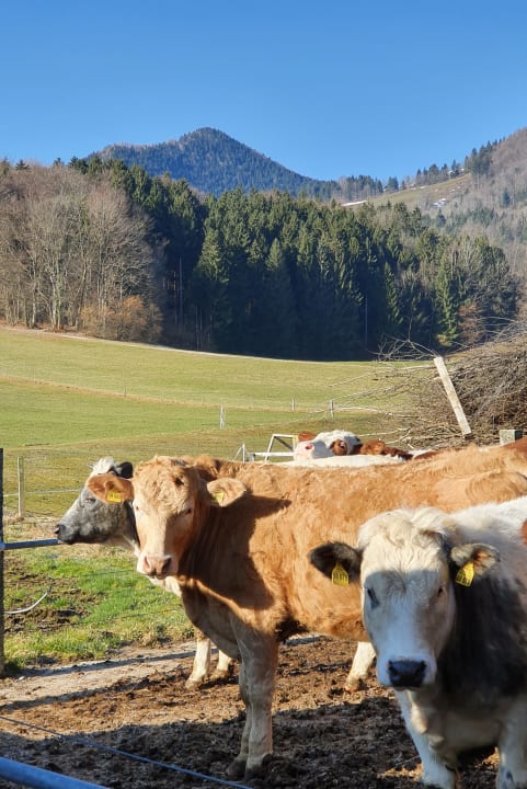 Sonstiges Ferienwohnung Hoderhof