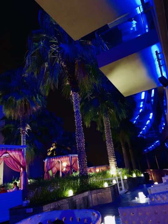 Gartenanlage Rixos The Palm Hotel & Suites