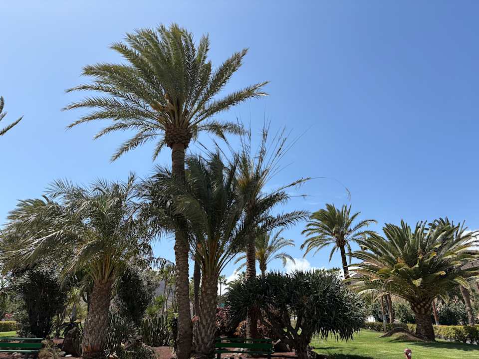 Gartenanlage Aldiana Club Fuerteventura