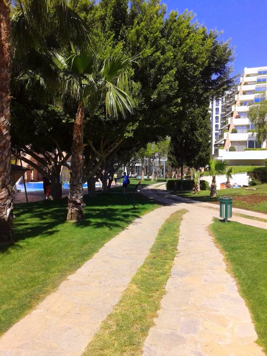 Территория Viking Park