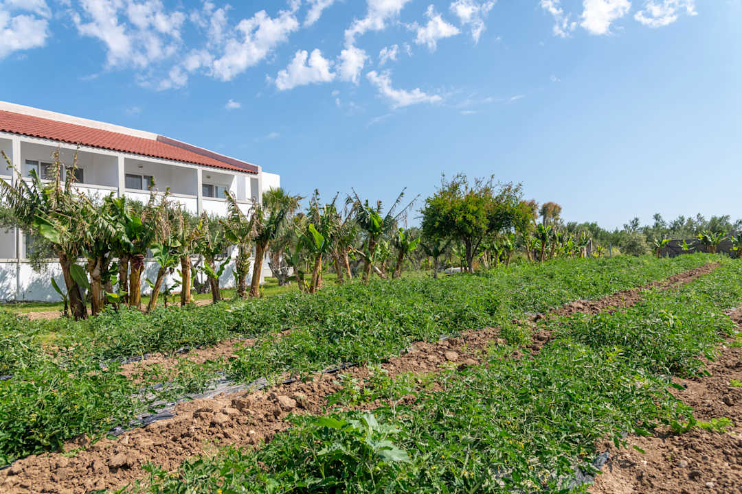Gartenanlage Ilios K Village Resort