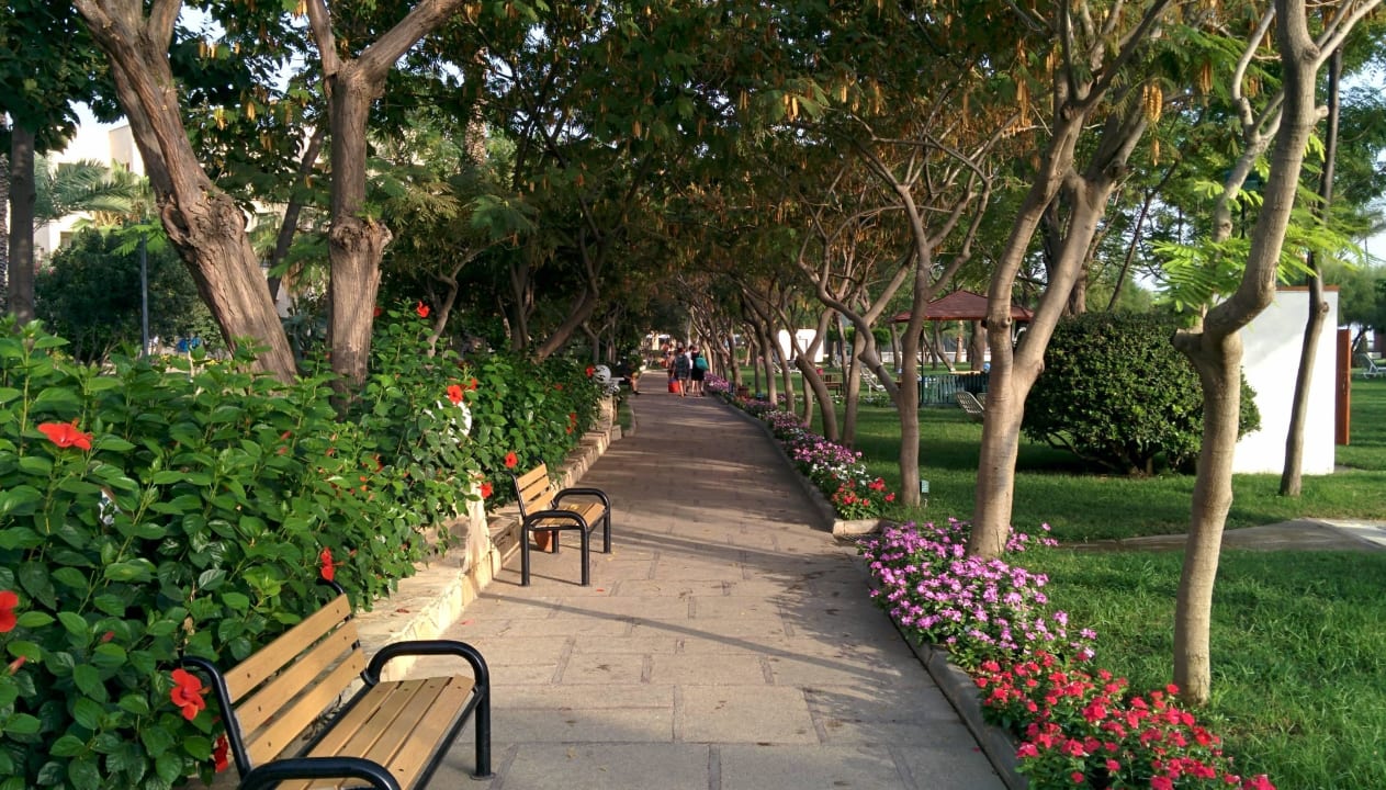 Hauptweg Labranda Alantur Resort