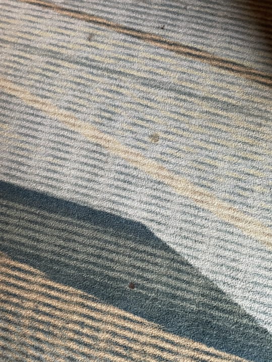 Zimmer H+ Hotel Köln Brühl