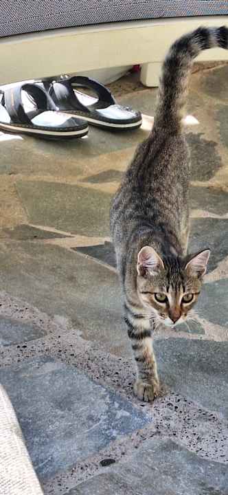 Gartenanlage Hotel Zephyros