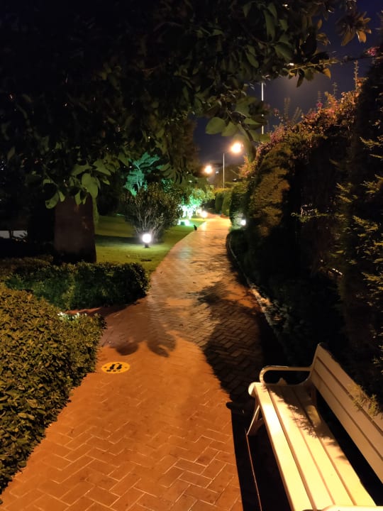 Gartenanlage Side Star Elegance