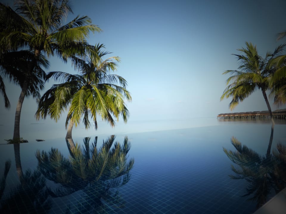 Pool Vilamendhoo Island Resort & Spa