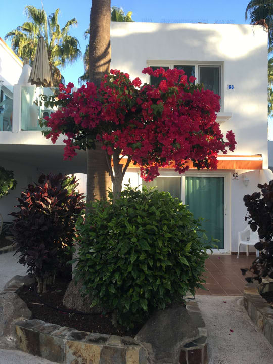 Gartenanlage Bahia Calma Beach