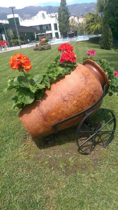 Wunderschöne Amphore Enotel Magnólia