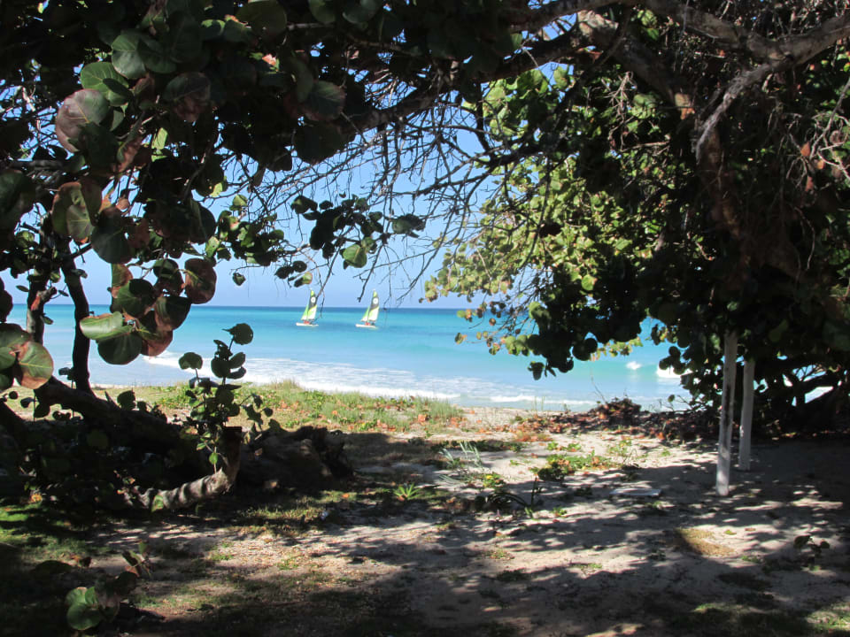 Gartenanlage Sirenis Tropical Varadero