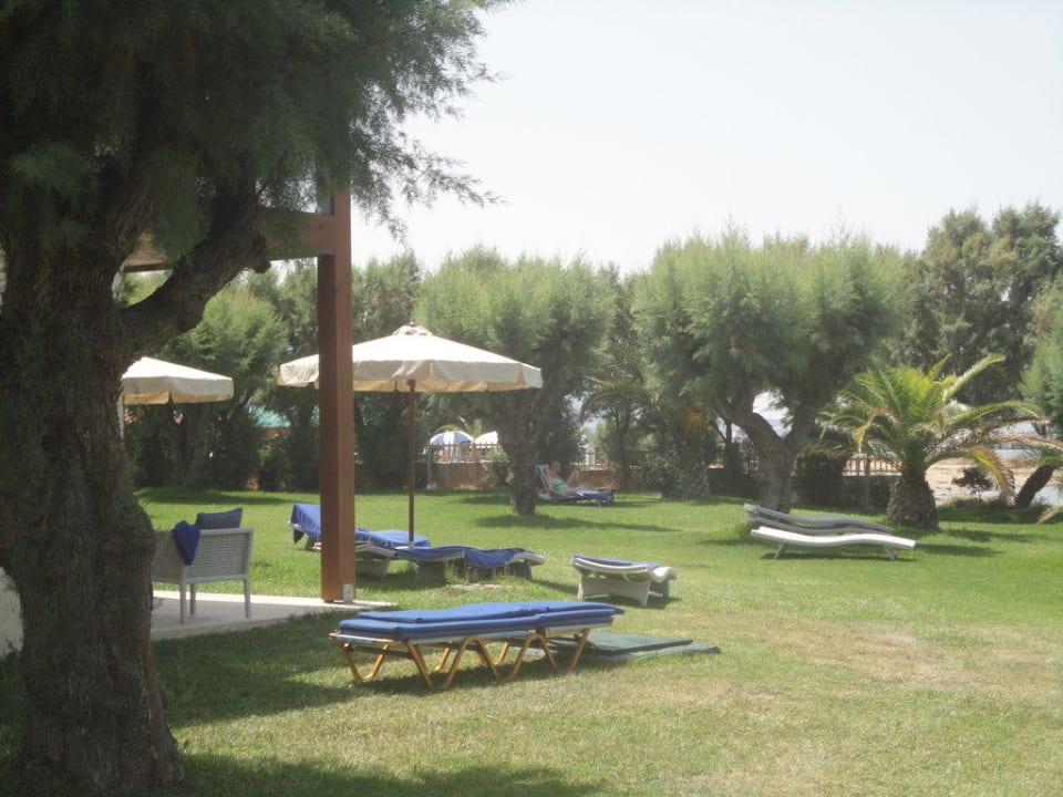 Ogród allsun Hotel Malia Beach