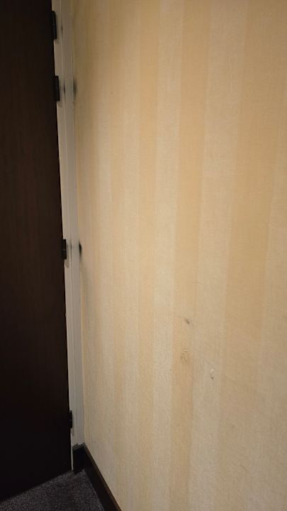 Zimmer Hotel Sofitel Lyon Bellecour