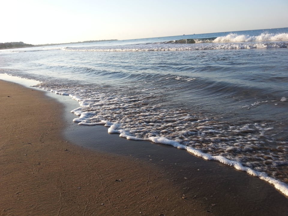 Strand Paloma Oceana