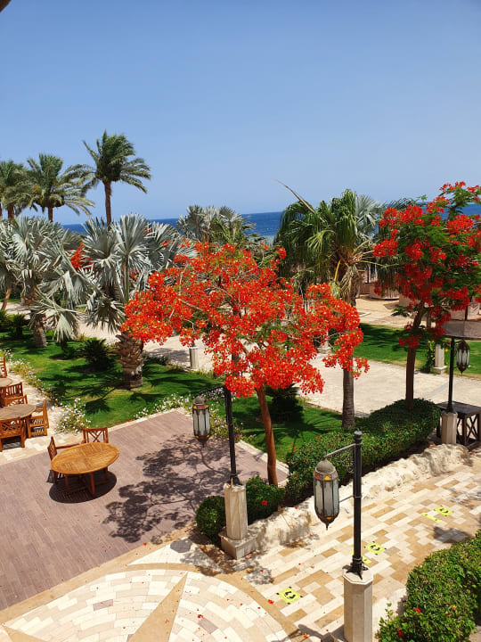 Gartenanlage Makadi Spa - Adults only