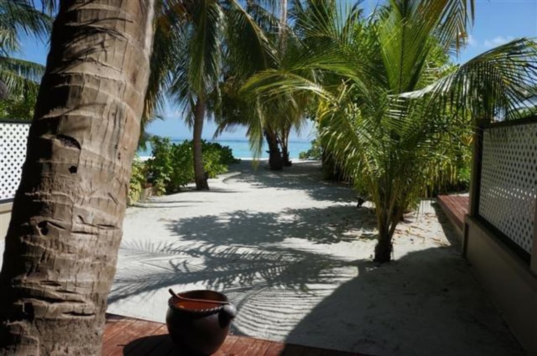 Blick Richtung Meer Angsana Velavaru