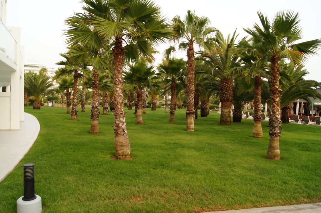 Außenansicht Hotel Riu Palace Tenerife