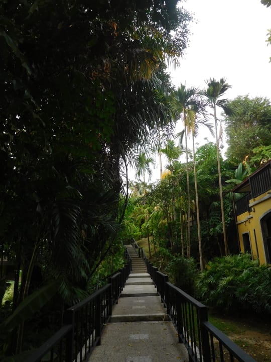 Gartenanlage Moracea by Khao Lak Resort