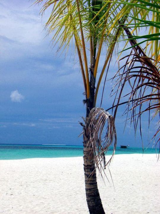 Ohne Worte. Kuredu Island Resort & Spa