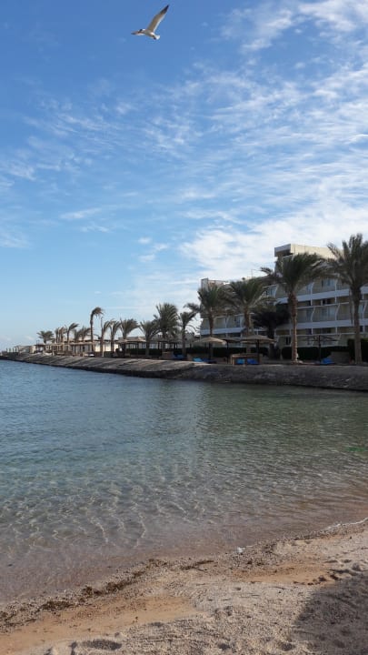 Flacher steiniger Strand (Schuhe empfehlenswert) Royal Star Beach Resort