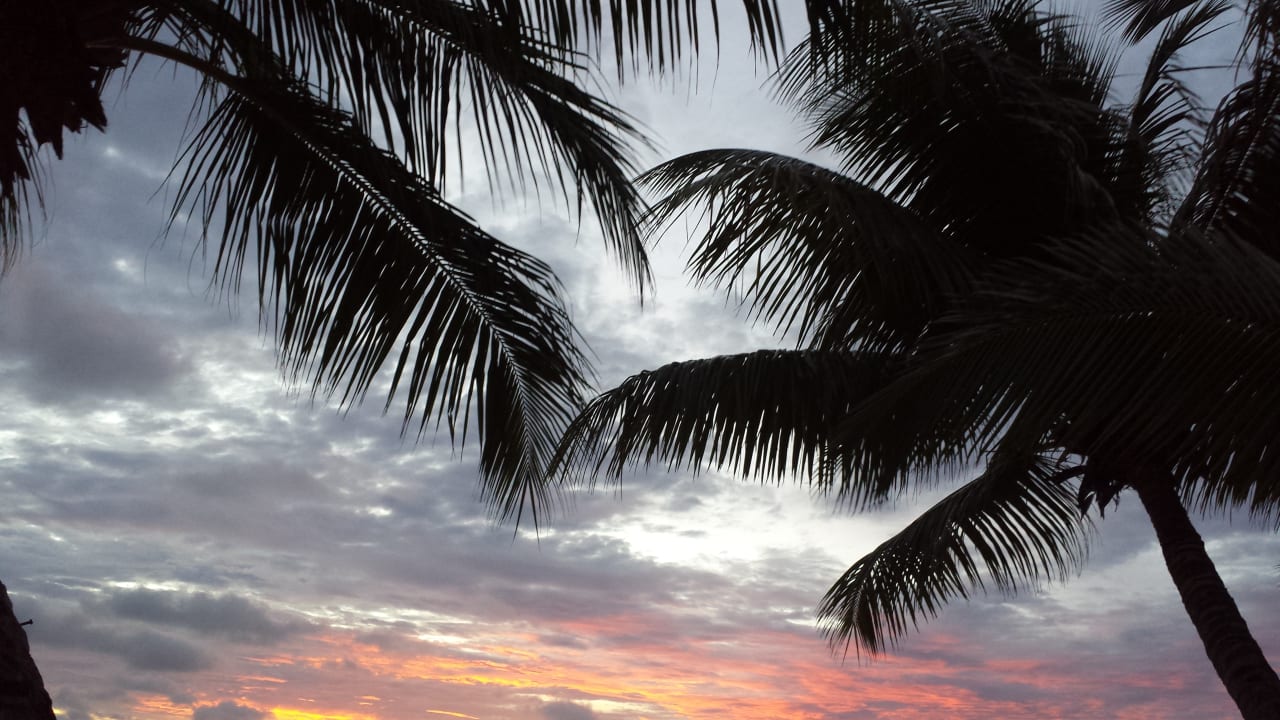 Sundowner an Strand Anse Reunion La digue Island Lodge La Digue Island Lodge
