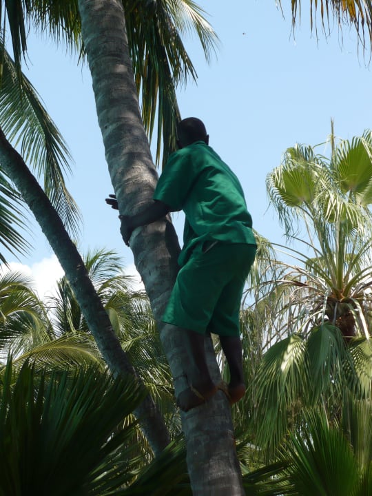 Der fleißige Gärtner Hotel Southern Palms Beach Resort