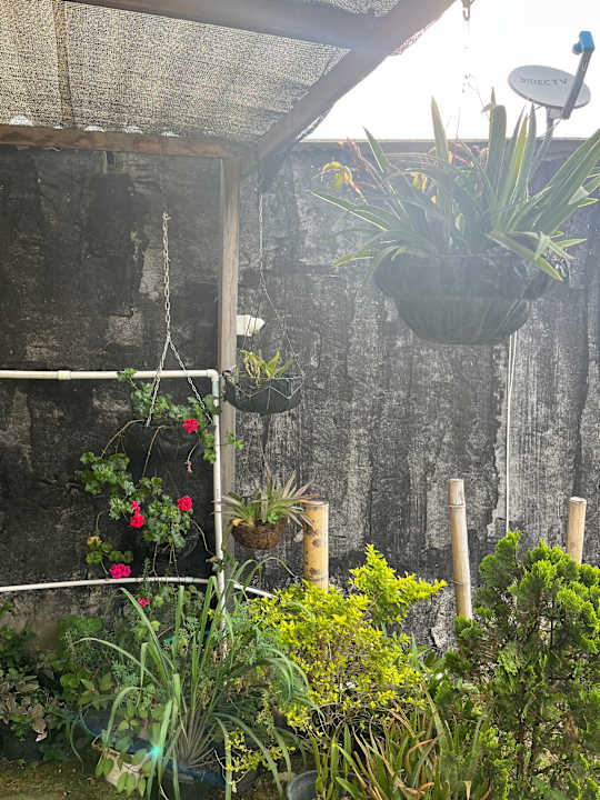 Gartenanlage Hospedaje Vista Hermosa Salento