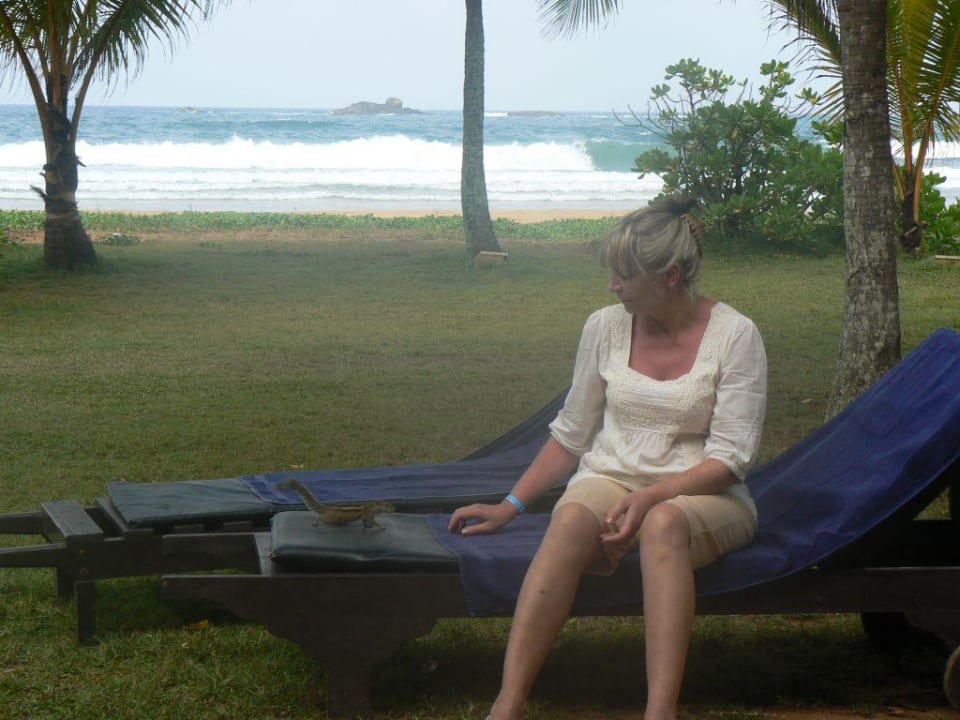 Wiewiórki są wszędzie EKHO Surf