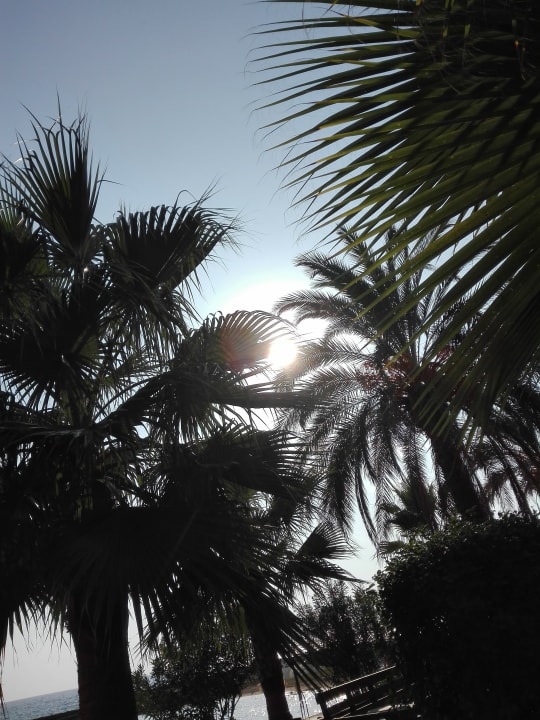 Ausblick Oz Hotels Incekum Beach