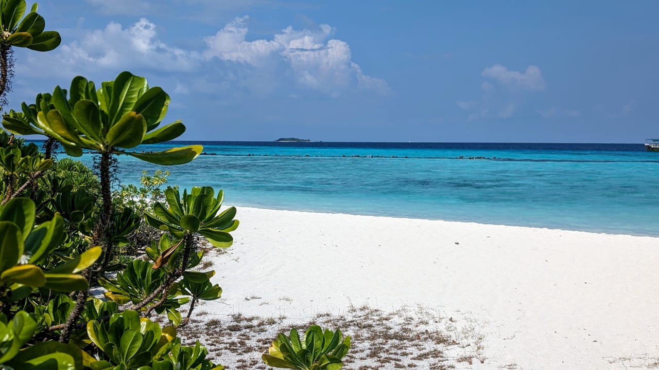 Strand Summer Island Maldives