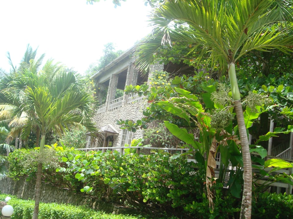 Rezeption Hotel Jungle Bay Resort & Spa