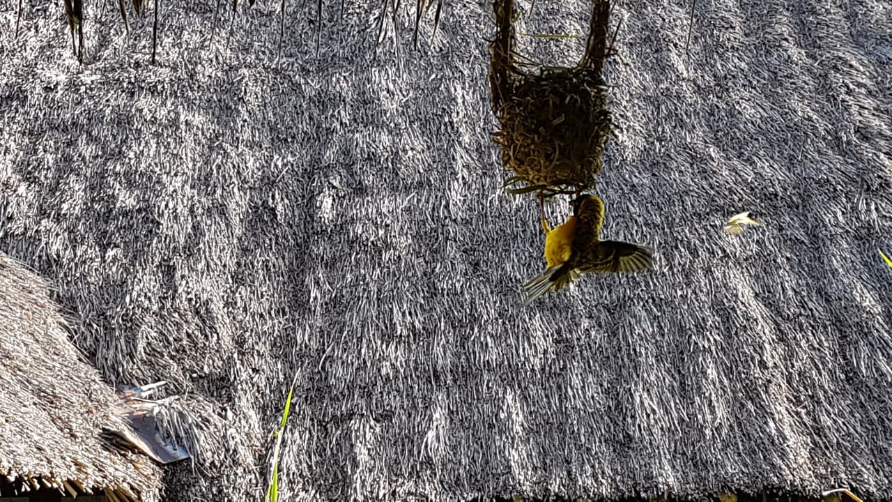 Sonstiges Hotel Southern Palms Beach Resort