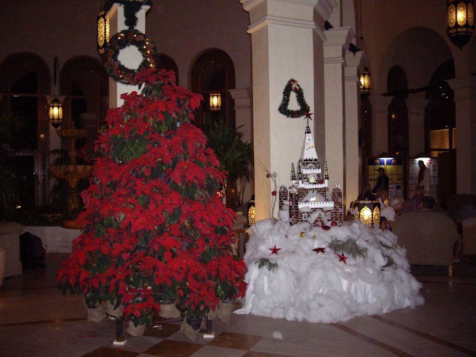 Eingang des Hotels Ghazala Gardens